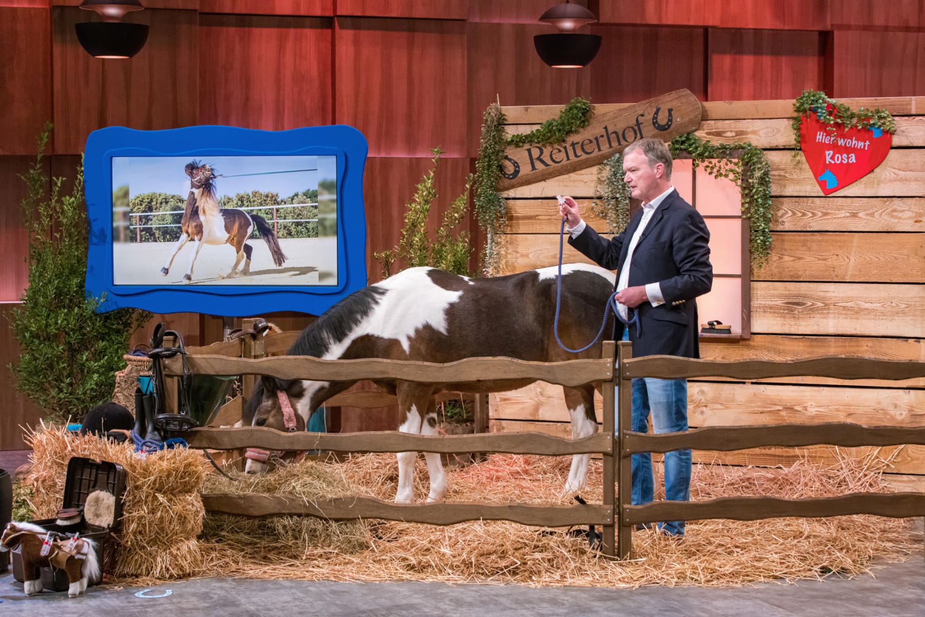 Konrad Winkler und das Pony Rosa führen den Clever Horse Clip vor.