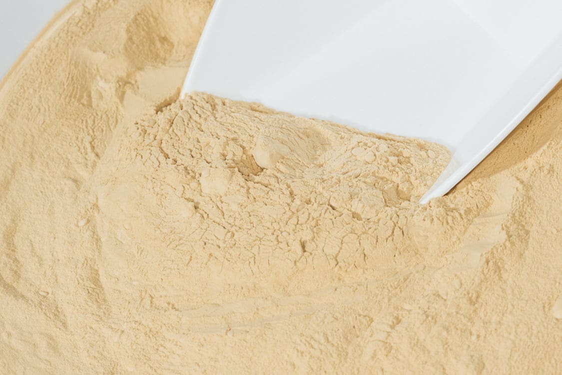 Das Protein von MicroHarvest wird in Pulverform produziert. (Foto: Ériver Hijano)